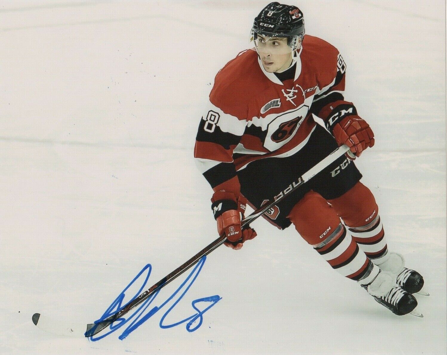 Ottawa 67's Alexander Chmelevski Signed Autographed 8x10 Photo Poster painting COA A