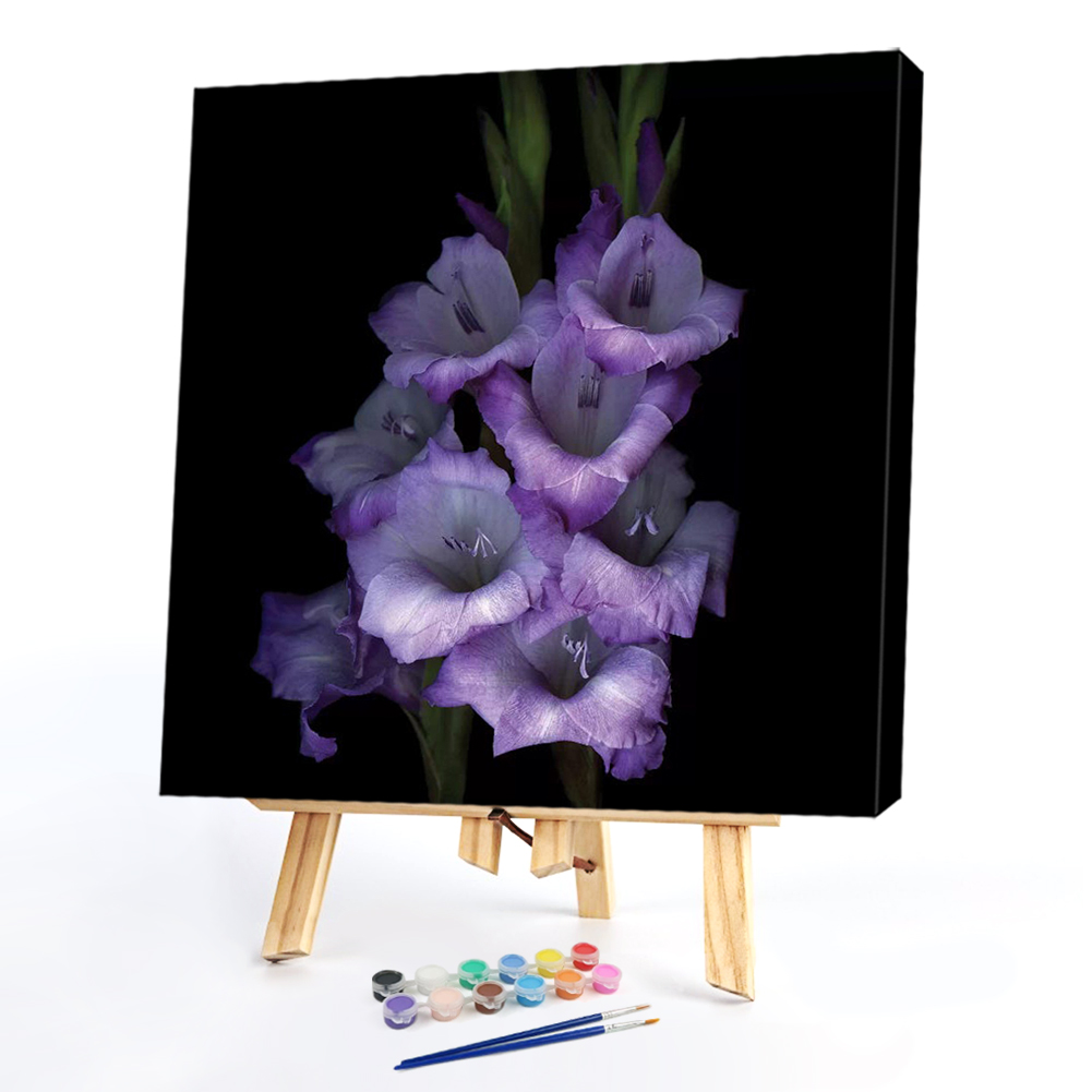 

20*20CM - Paint By Numbers - Gladiolus Flower, 501 Original