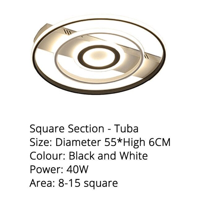 Modern Rectangle/Square/Circle Acrylic Led Ceiling Light White Color Black Color Remote Control For Living Room Bedroom Lighting