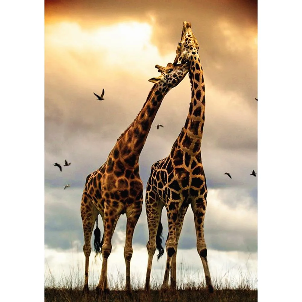 Full Round Diamond Painting Giraffe (40*30cm)