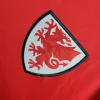 2024 Wales HomeFootball Shirt 1:1 Thai Quality