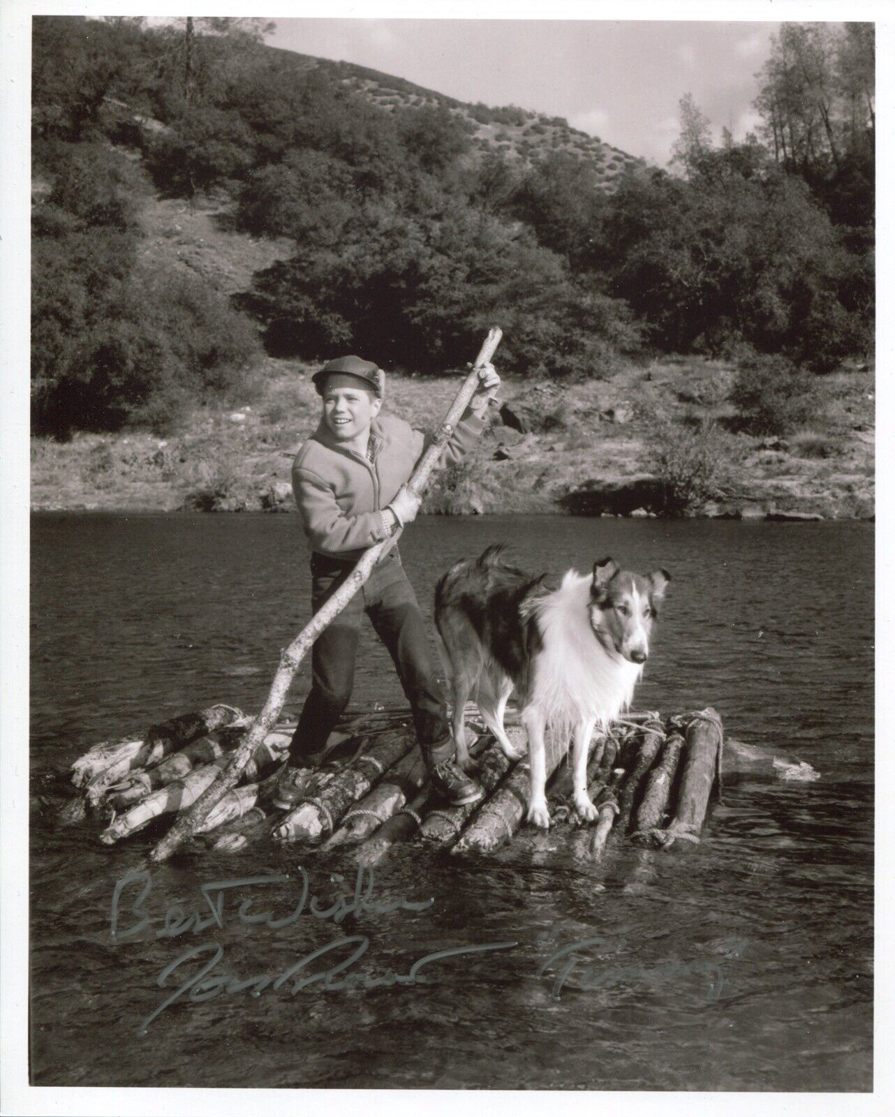 Actor Jon Provost signed LASSIE 8x10 Photo Poster painting IMAGE No2