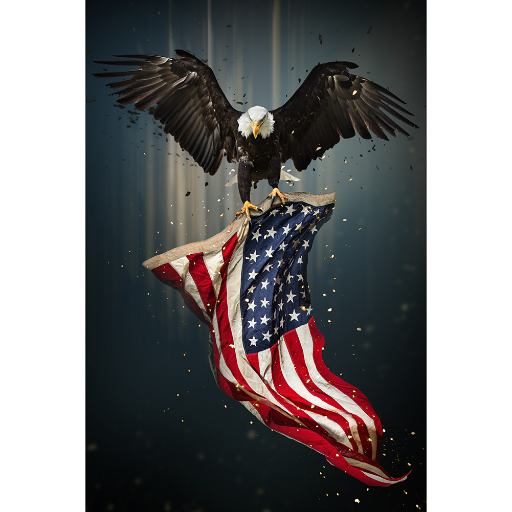 

Flag Owl - Round Drill Diamond Painting - 35*50CM, 501 Original