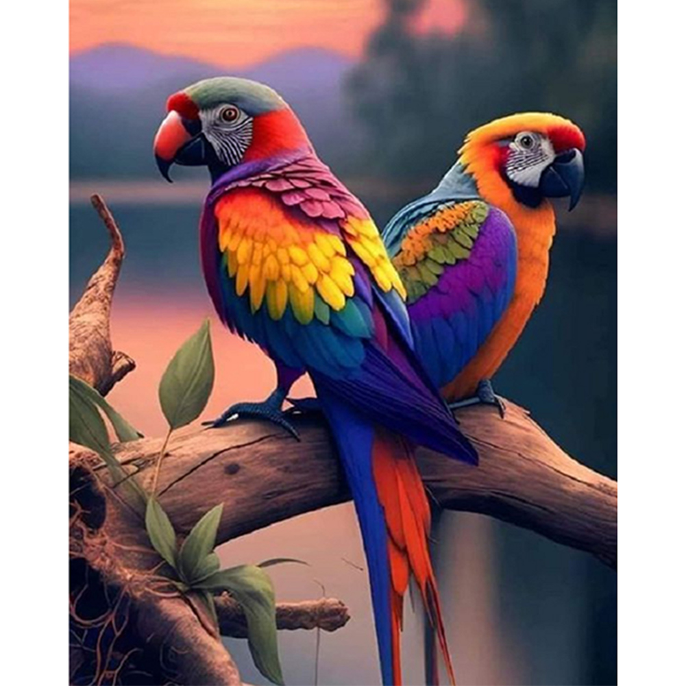 Parrot-Paint by Numbers-16"x20"/40x50cm