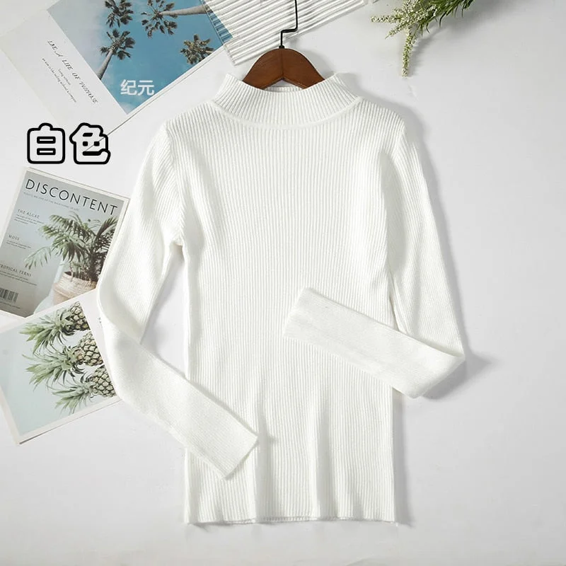 Autumn Winter Women's Turtleneck Sweater Knitted Pullover 2021 Slim Bottoming Sweater Jumper Women Casual Soft Pull Femme 17350