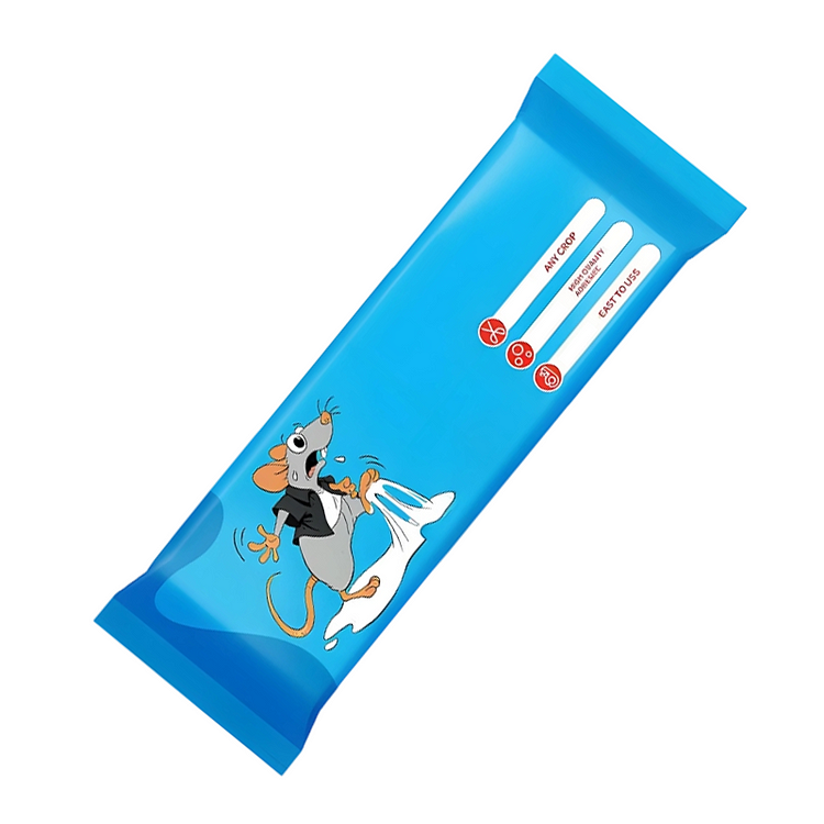 1.2M Large Transparent Mouse Trap