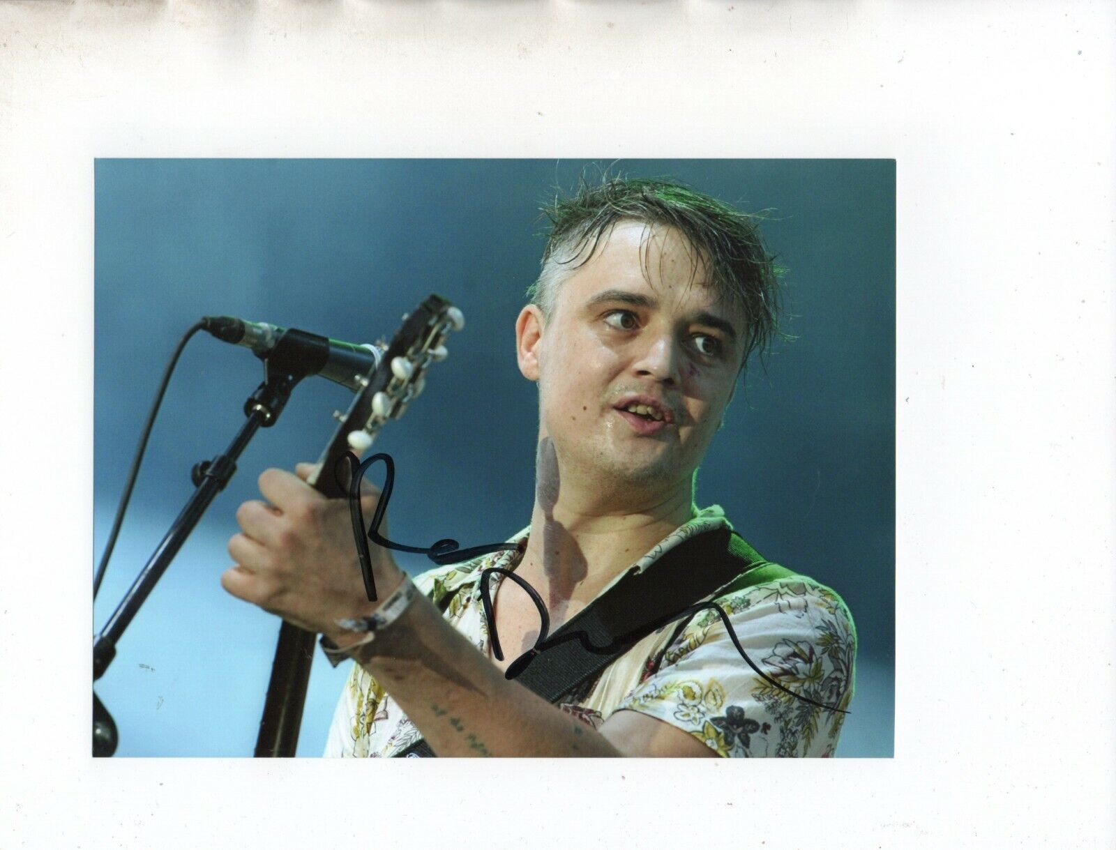 Pete Doherty English Singer-Songwriter Hand Signed 8x6 Col Photo Poster painting Autographed IPB