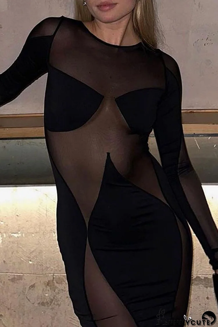 Black Sexy Solid Patchwork O Neck Long Sleeve Dresses