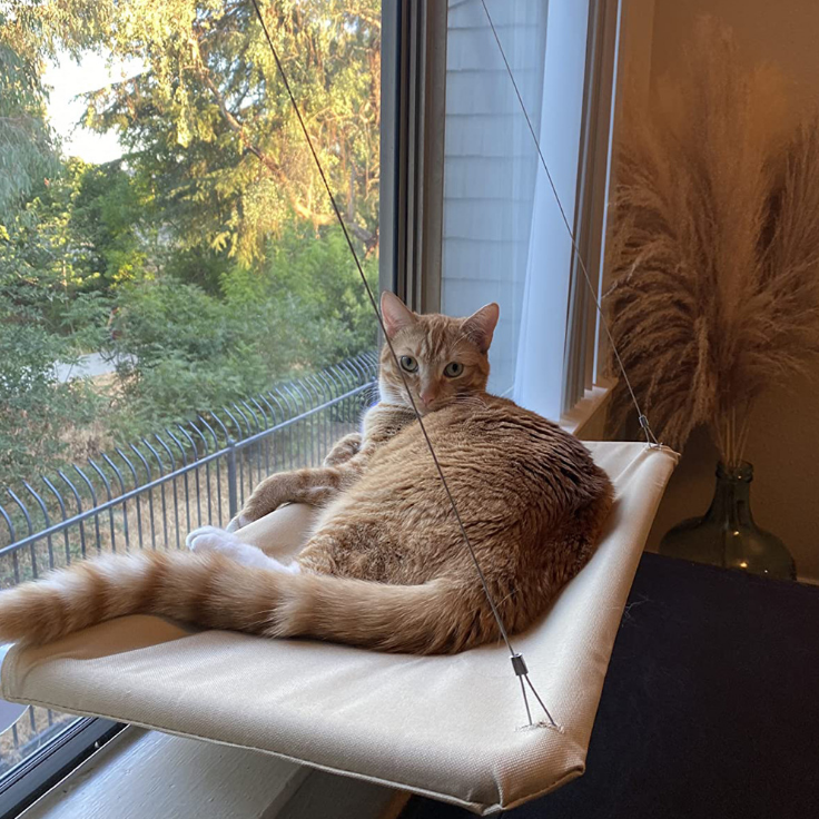 Waltleather Cat Window Hammock-Cat Resting Shelf 360° Sunny Seat Space Saving Cat Beds for Indoor Cats