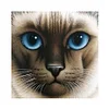 Cat | Full Round/Square Diamond Painting Kits | 20x20cm | 30x30cm