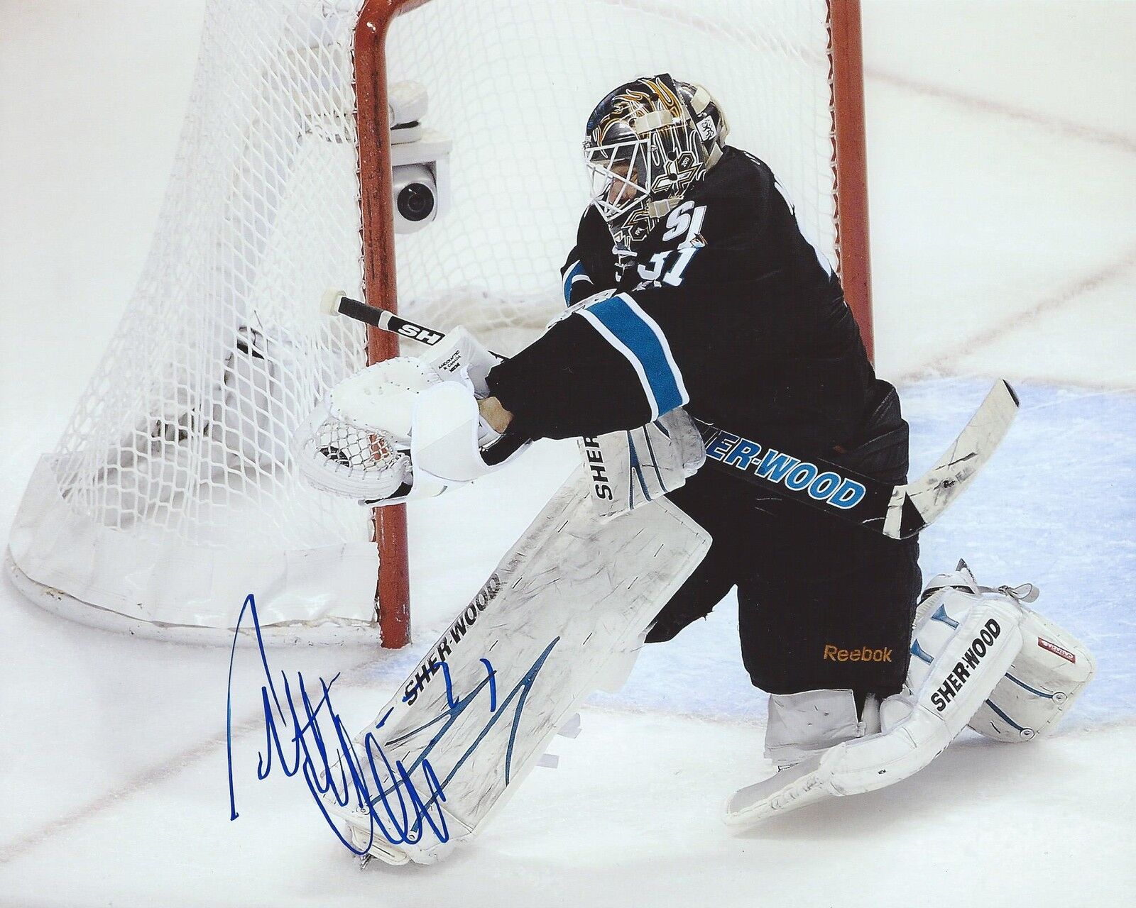 Antti Niemi Signed 8x10 Photo Poster painting San Jose Sharks Autographed COA D