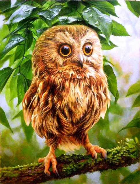 Diamond Painting - Full Round/Square Drill - Owl(30*40 - 50*60cm)
