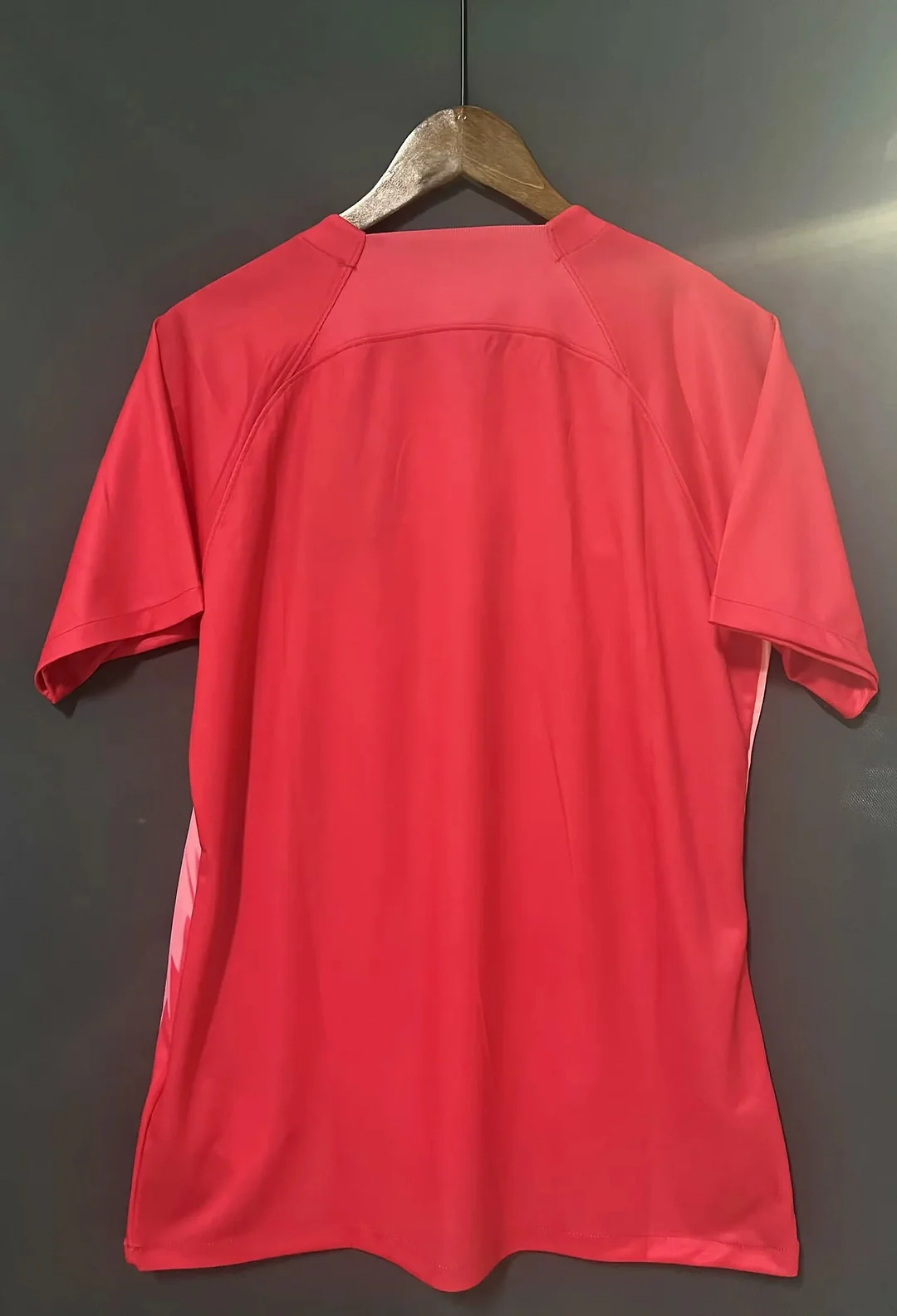 2024 Netherlands Special Edition Red Football Shirt 1:1 Thai Quality