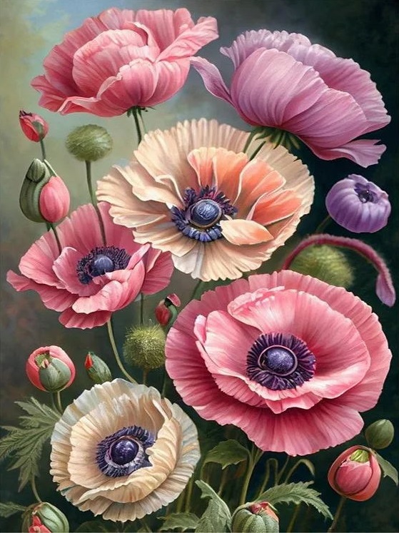 DIY Painting By Numbers Flowers 40*50cm