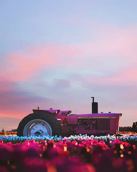 

Aesthetic Tractor – Paint By Numbers - 40*50CM, 501 Original
