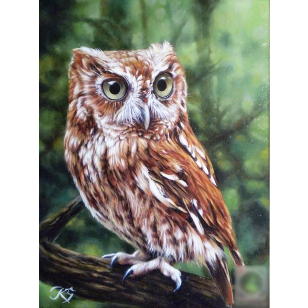 

Owl on Tree - Round Drill Diamond Painting - 30*40CM, 501 Original
