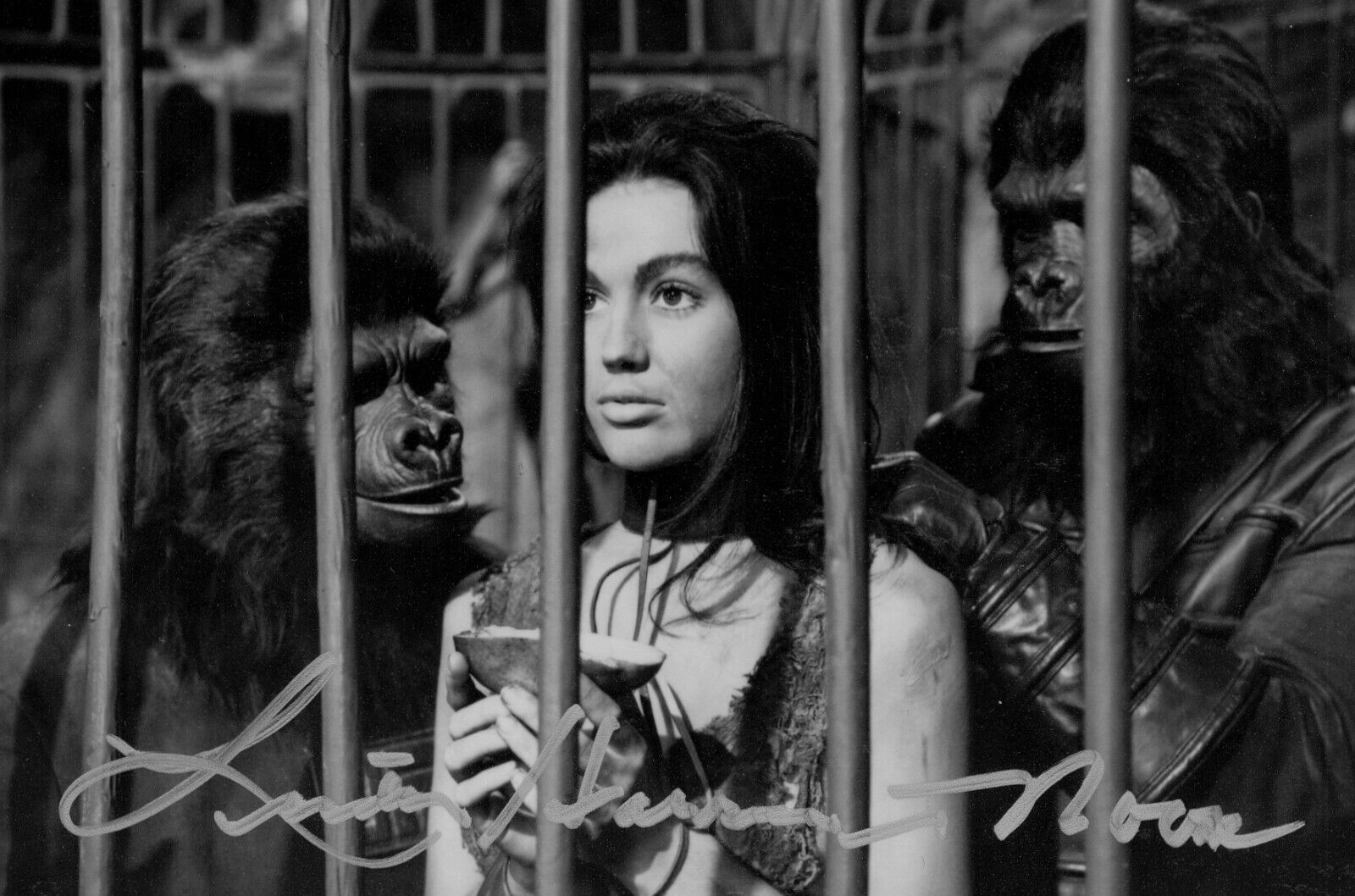 Linda Harrison Signed 6x4 Photo Poster painting Beneath the Planet of the Apes Autograph + COA