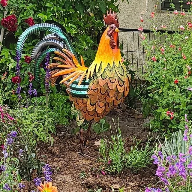 (🎁Hot Sale- 45%OFF🎁)🐓Iron rooster-Amazing detail and beautiful colours-Lawn & garden art