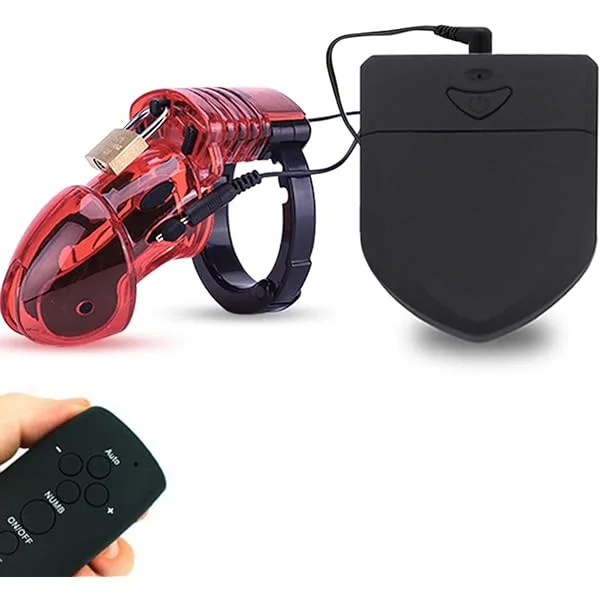 Remote Control Electric Shock Upgrade