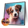 Diamond Painting -DIY Round Drill Pet Puppy（40x40cm）