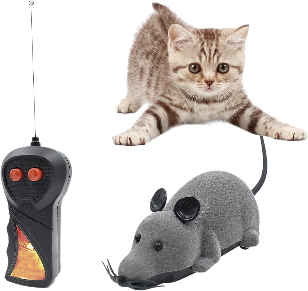 Gray Rat Toy With Remote