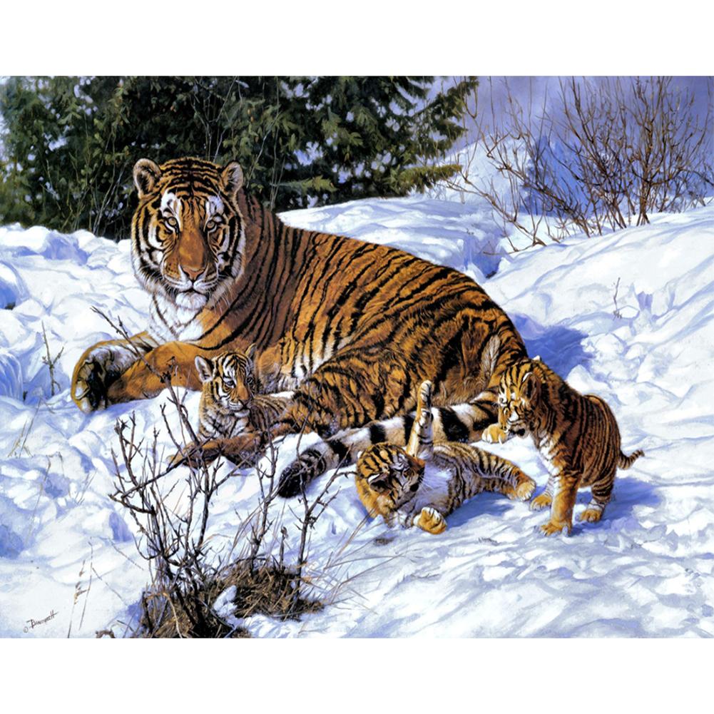 

40x50cm - Paint By Numbers Tiger Snow, 501 Original