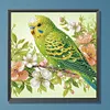 Perroquet-Peinture diamant en forme sp&eacute;ciale-30*30cm
