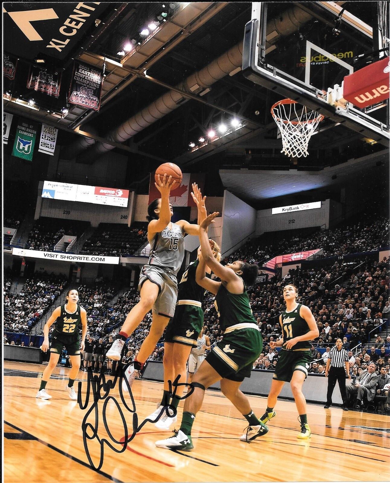 CHICAGO SKY GABBY WILLIAMS SIGNED UCONN CONNECTICUT HUSKIES 8X10 Photo Poster painting W/COA