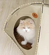 Cat tent for all seasons, cool in summer and warm in winter, semi-enclosed and safe cat bed