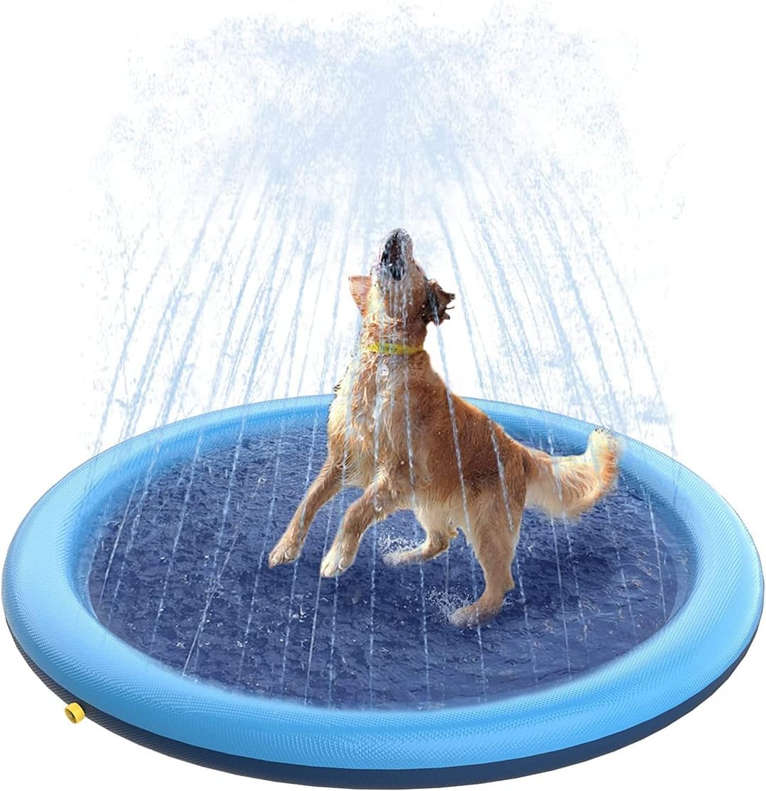 Dog Sprinkler Pool