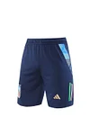 2025 Italy Royal Blue  Short-Sleeve Training Kit