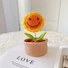 DIY Flower Potted Crochet Kit with Video Tutorial Cute Plants Hand-Knitted Tool