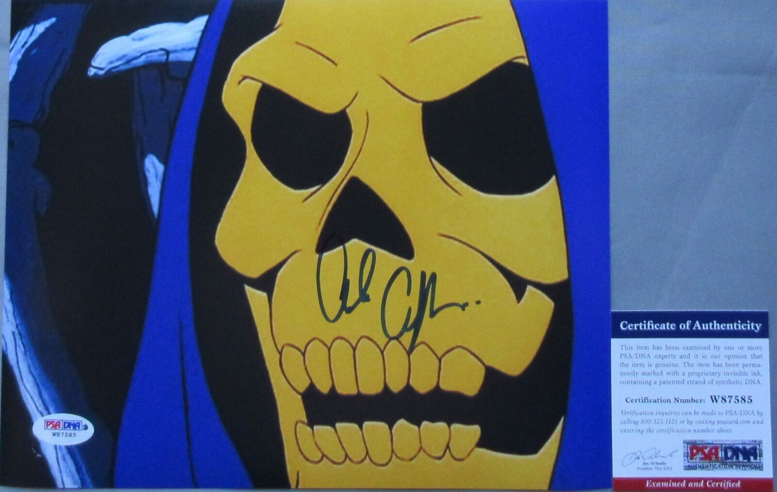 CLASSIC!!! Alan Oppenheimer SKELETOR Signed HE-MAN 8x10 Photo Poster painting #2 PSA/DNA