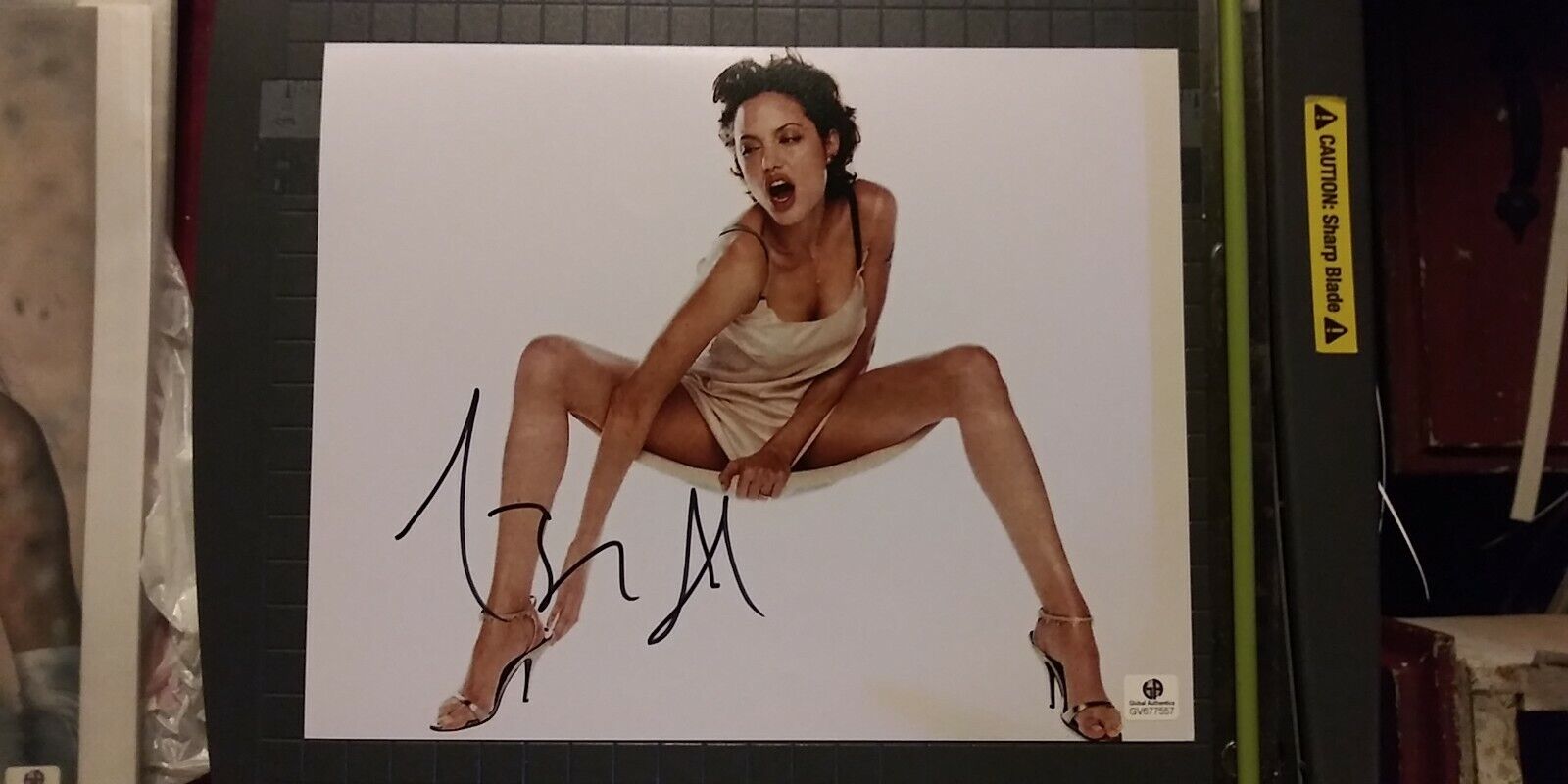 Angelina Jolie signed 8x10 COA GAI