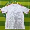 2025/2026 Benfica Special Edition Football Shirt 1:1 Thai Quality love fball