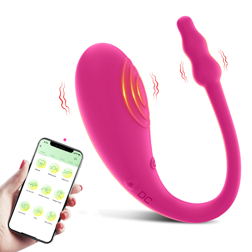 App Remote Control Multiple Modes Panty Vibrator Rosetoy Official