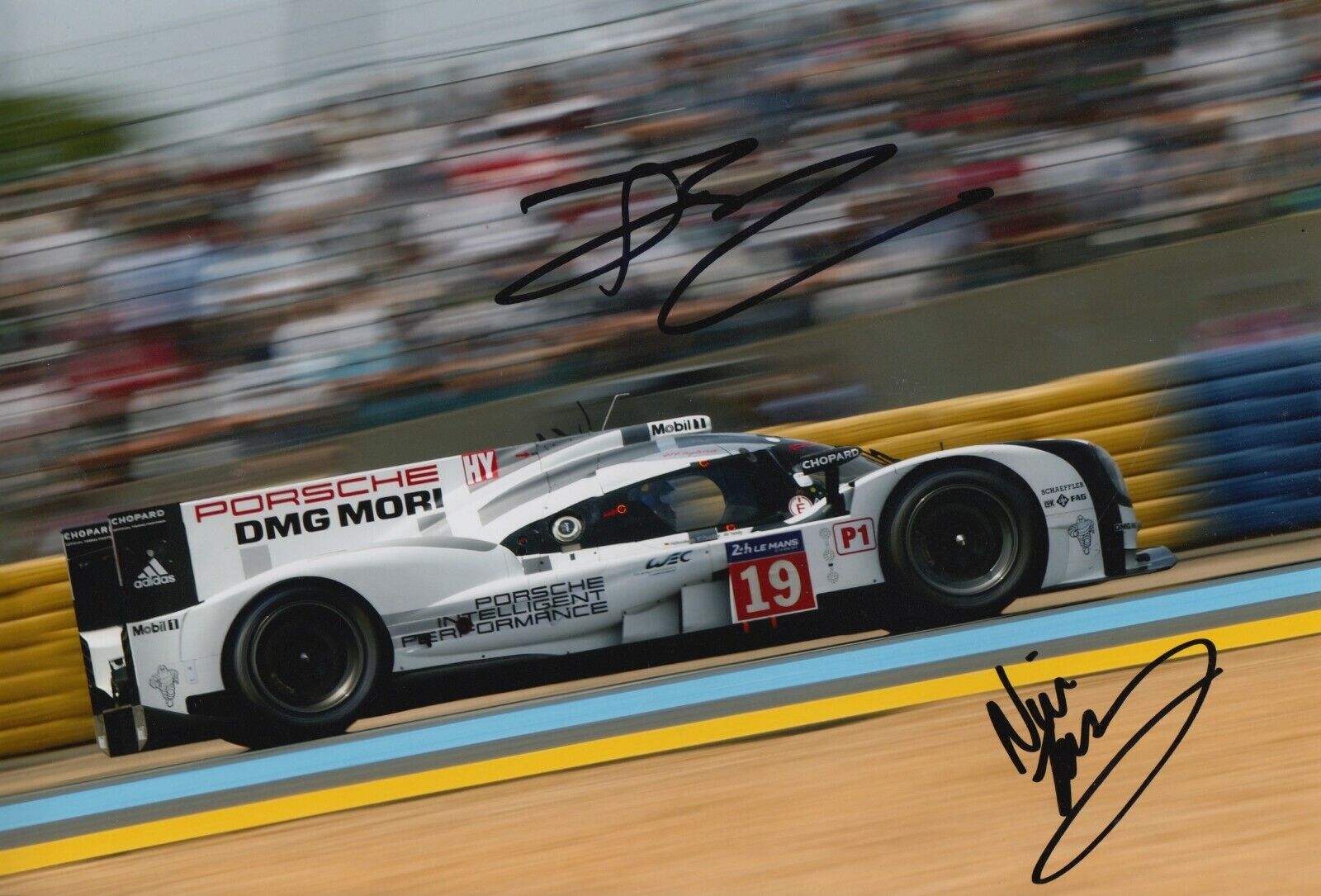 Nick Tandy and Earl Bamber Hand Signed 12x8 Photo Poster painting - Porsche Le Mans Autograph 2.