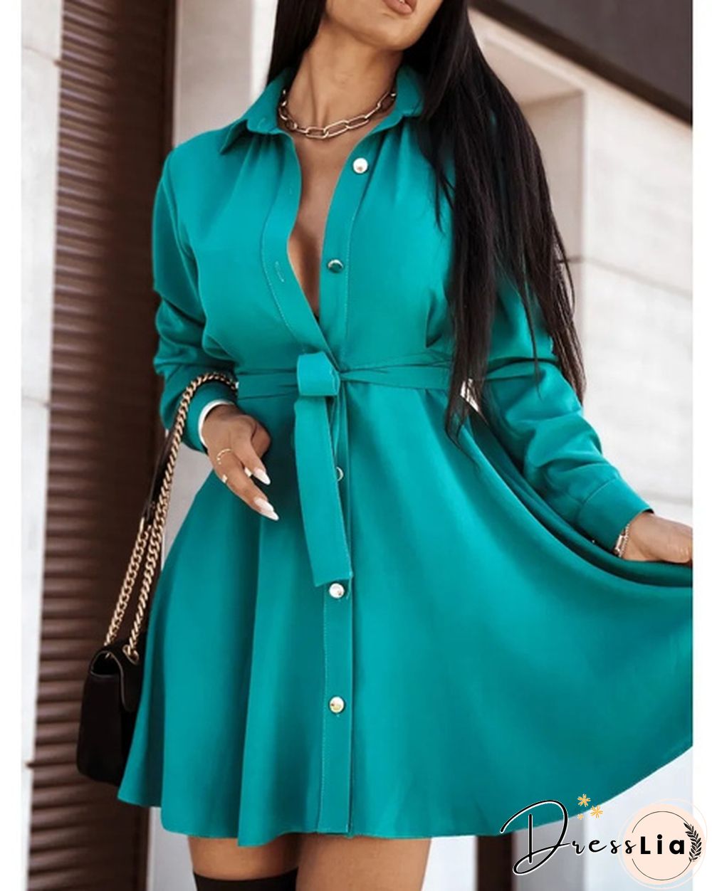 Turn-down Collar Long Sleeves Buttons Shirt Dress Women Fashion Collect Waist A Line Dress Elegant Ladies Dresses