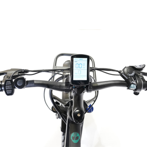 electric bicycle 2