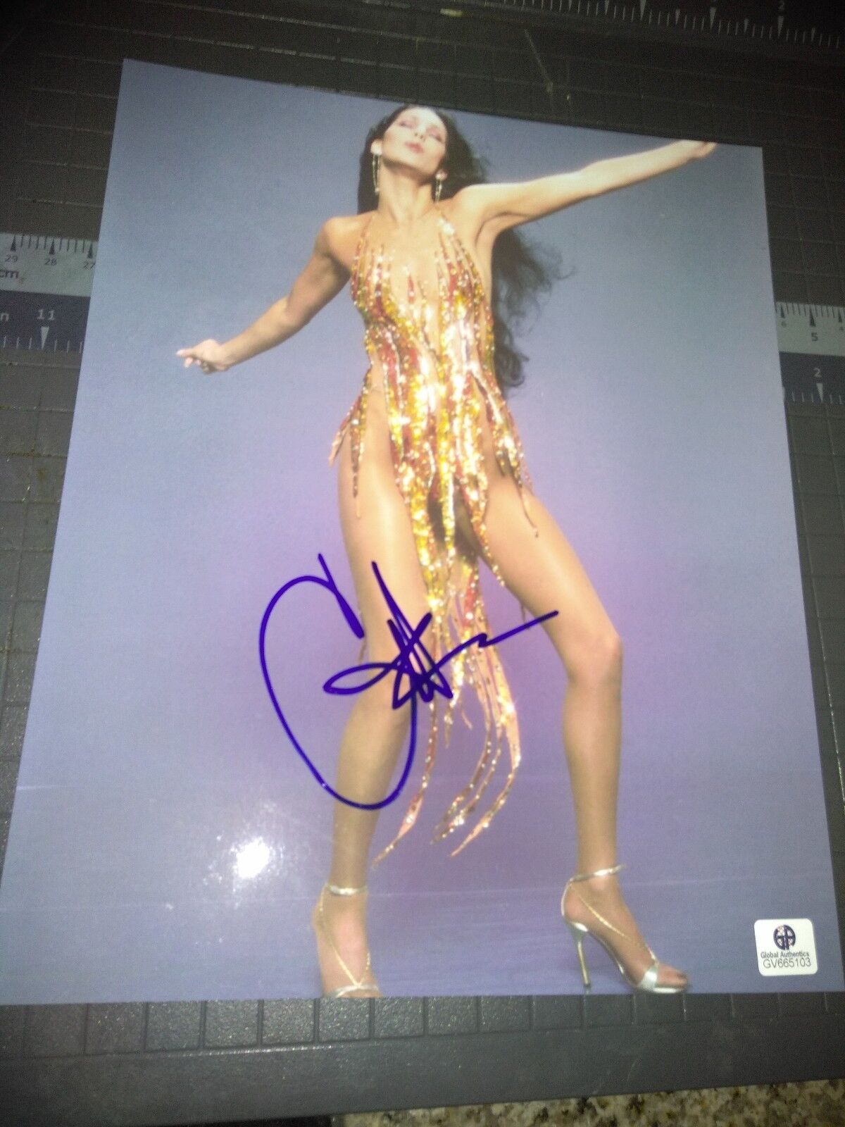 Cher signed 8x10 COA GAI