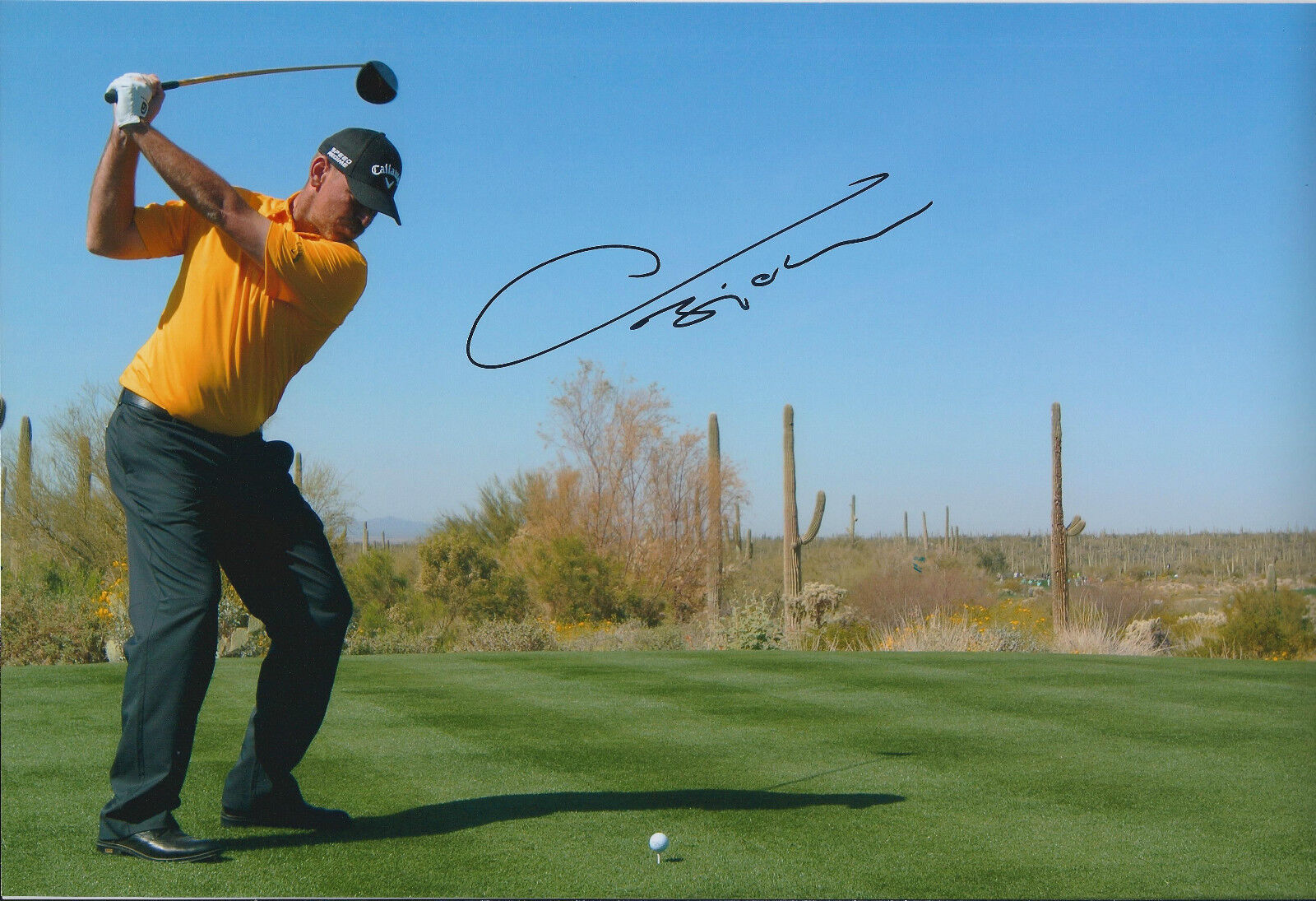 Thomas BJORN SIGNED Golf Autograph Photo Poster painting AFTAL COA Ryder Cup WINNER Genuine