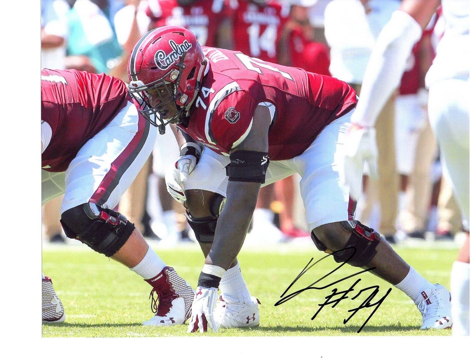 Dennis Daley South Carolina Gamecocks signed autographed 8x10 football Photo Poster painting