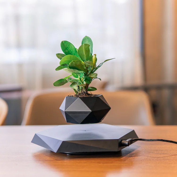 Levitating Floating Bonsai Tree Planter