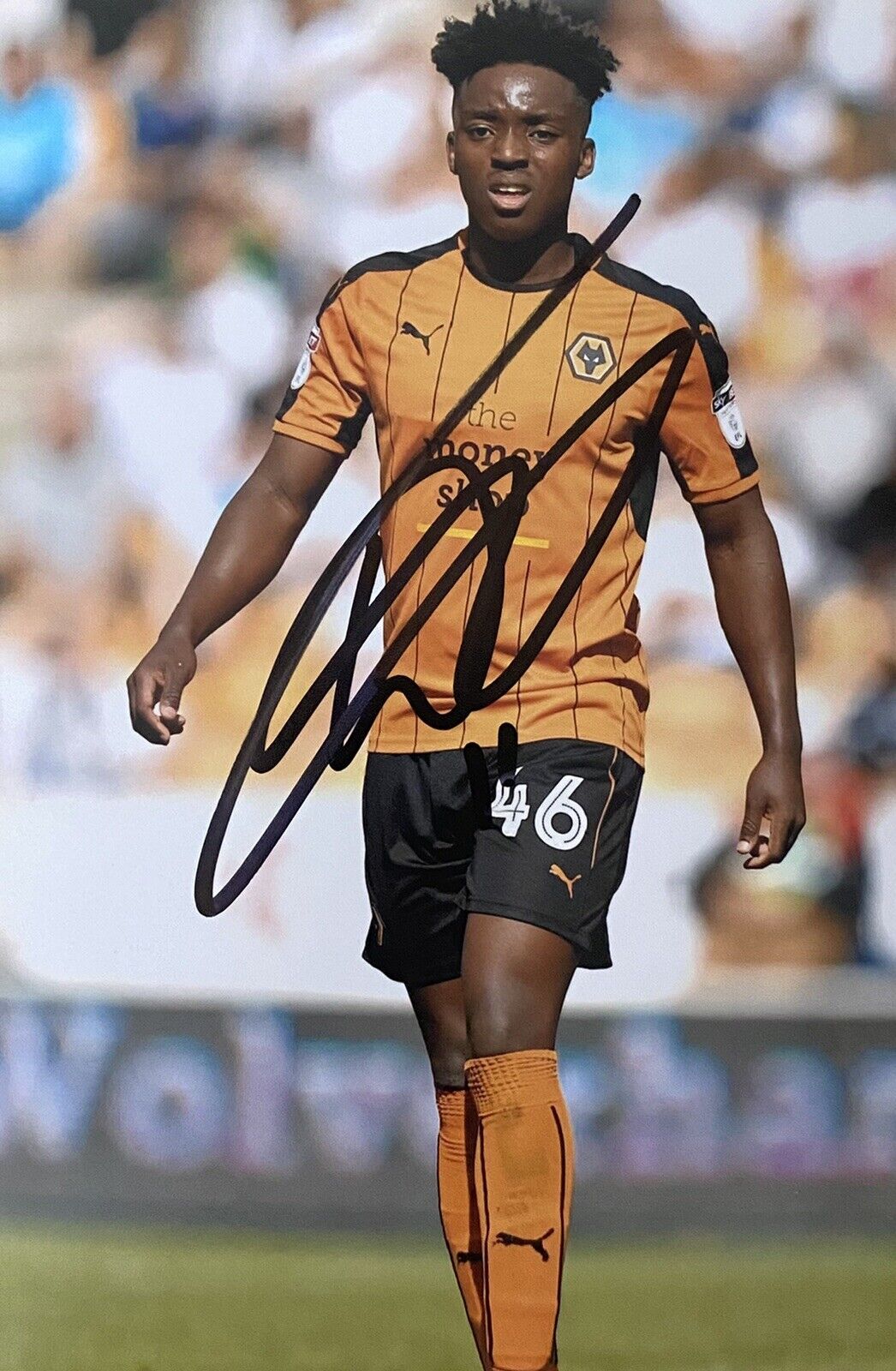 Niall Ennis Genuine Hand Signed Wolves 6X4 Photo Poster painting