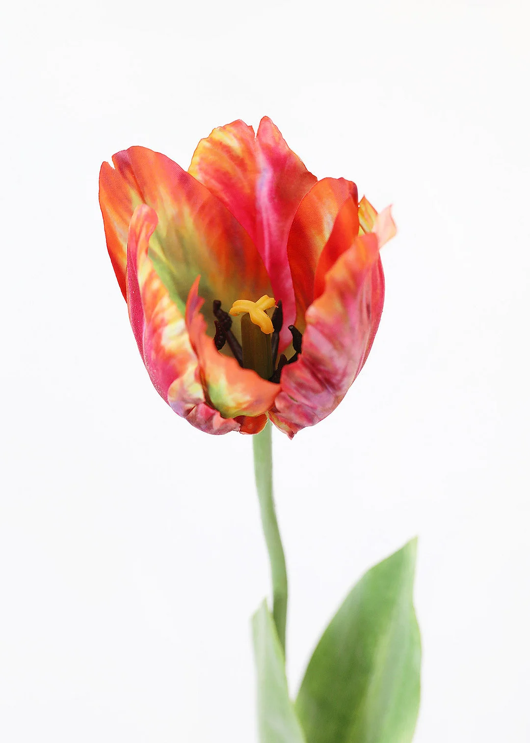 Tie Dye Red Artificial Parrot Tulip - 25"