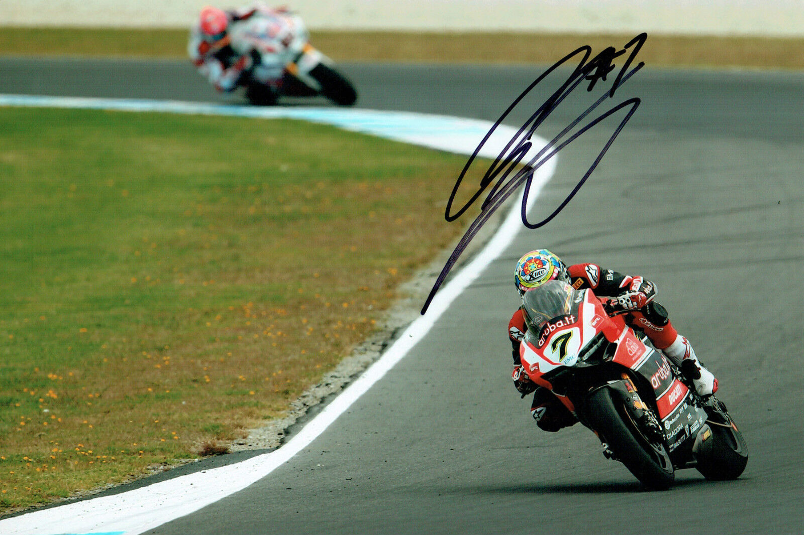 Chaz DAVIES SIGNED Autograph 12x8 2015 Season Ducati Aruba.it Photo Poster painting AFTAL COA