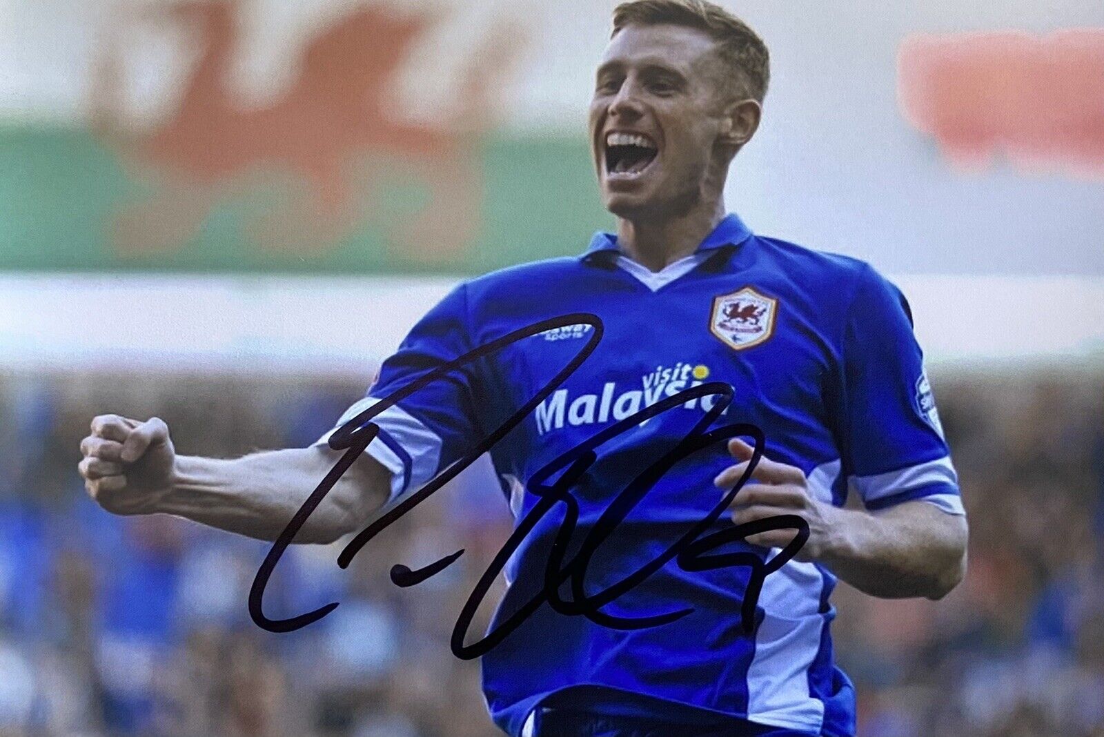 Eoin Doyle Genuine Hand Signed Cardiff City 6X4 Photo Poster painting 2