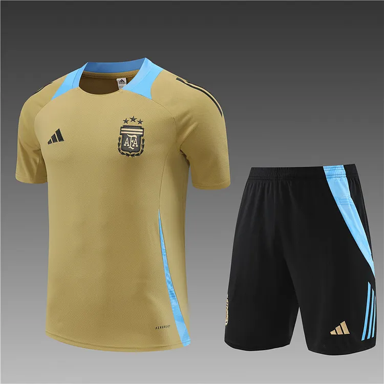 2024-25 Argentina gold short-sleeved training jersey