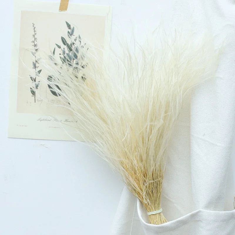 1 Bouque Real Feather Grass Preserved Flowers,Dry Natural Immortal Plant,Filamentou Forver Flower Bouquet Wedding Decoration