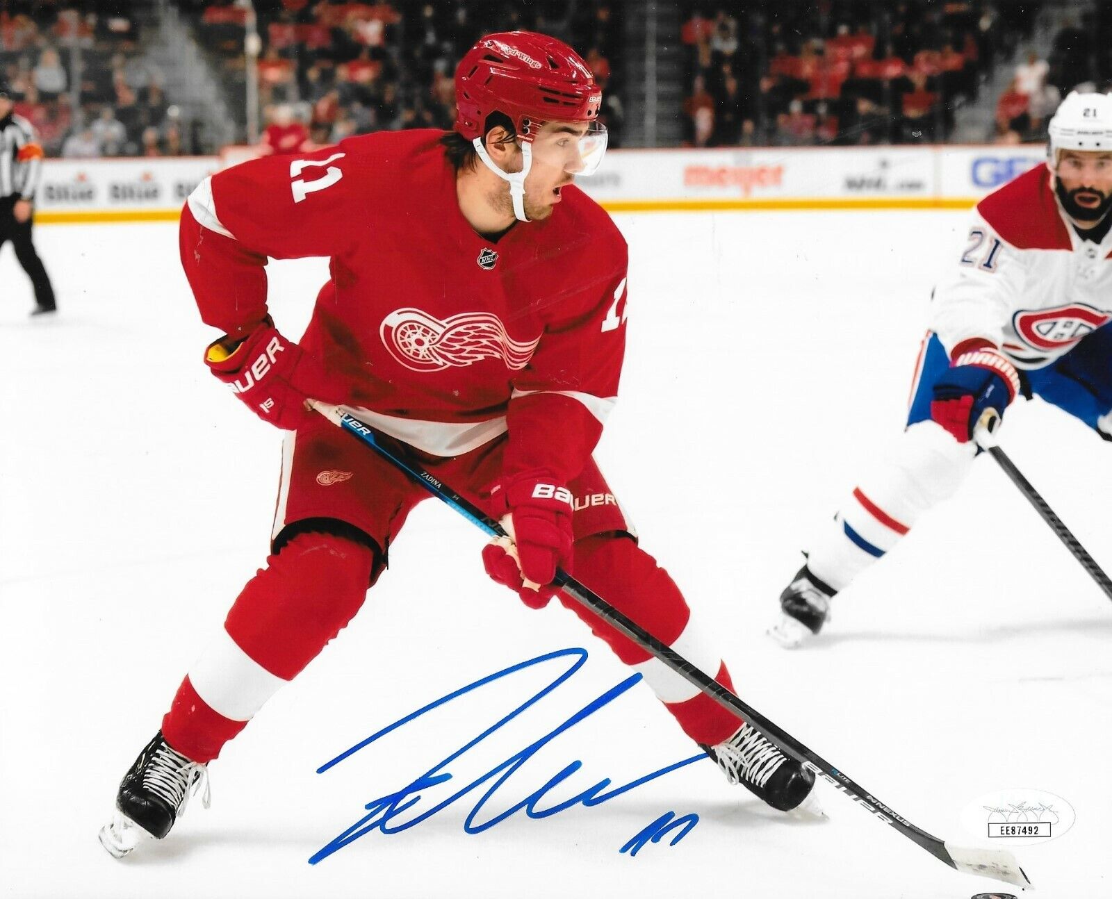 Filip Zadina signed Detroit Red Wings 8x10 Photo Poster painting autographed 2 JSA